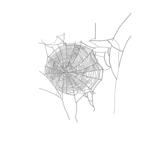 Cobweb 7